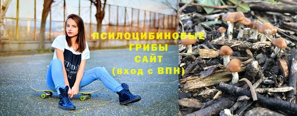 Альфа ПВП Баксан