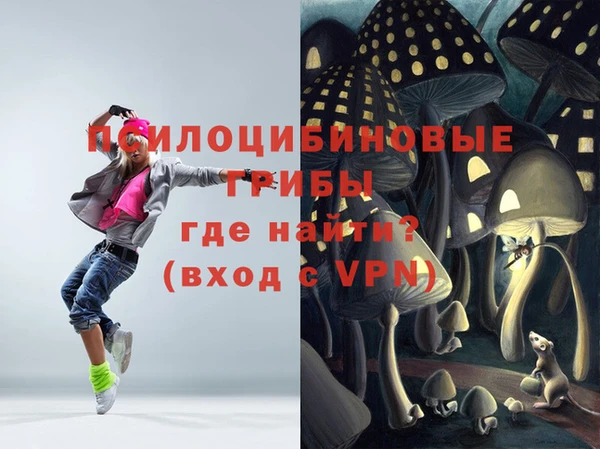 Альфа ПВП Баксан