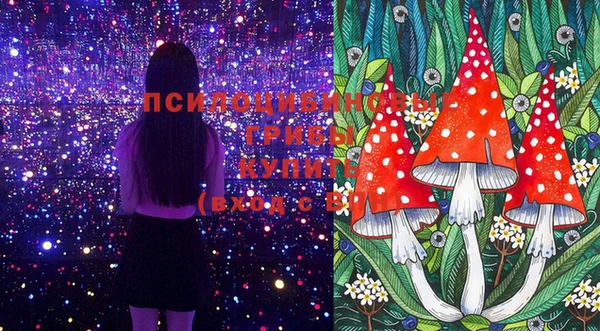 метадон Балабаново